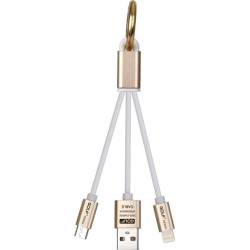 GOLF Golden key 2in1 iPhone 8pin micro usb