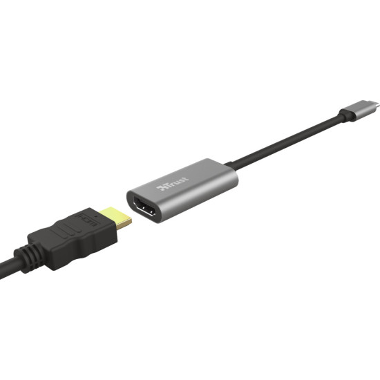 Trust Dalyx Μετατροπέας USB-C male σε HDMI female Γκρι