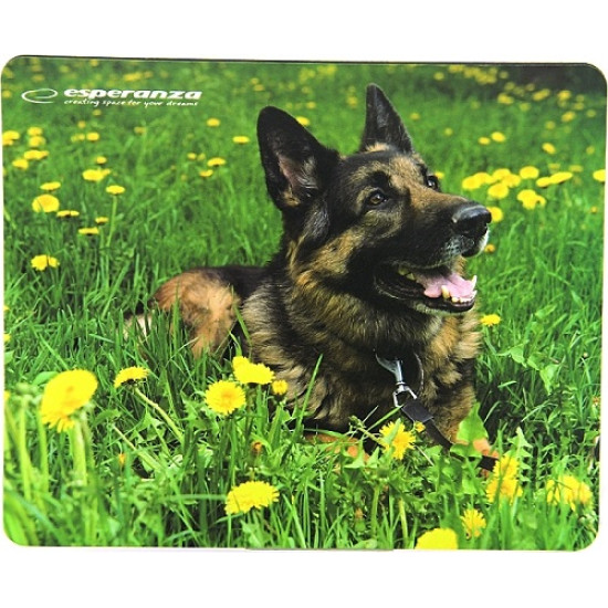 Esperanza EA133 Mouse Pad 240mm Earth