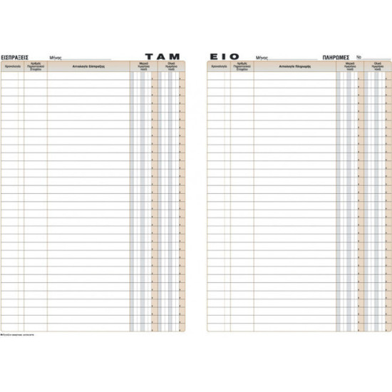 Χαρτοσύν Βιβλίο Ταμείου 100 Φύλλα 21x30cm [522]