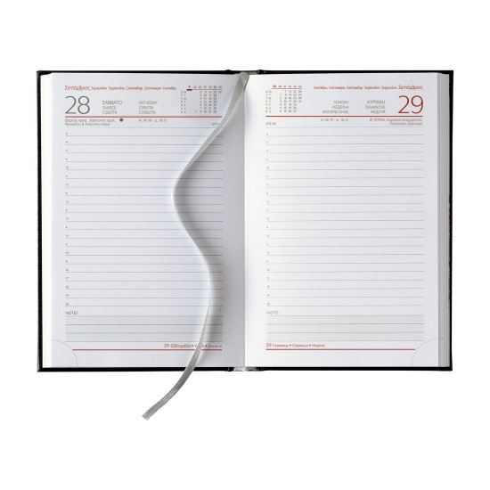 Θεοφύλακτος Grenoble μπλέ  Ημερήσια Ατζέντα  2024 11x16.5cm