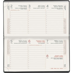 Θεοφύλακτος Castelli Εβδομαδιαίο Ημερολόγιο 2025 Kashmir Άμμου 8x15εκ