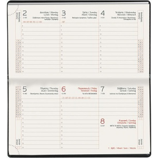 Θεοφύλακτος Castelli Εβδομαδιαίο Ημερολόγιο 2025 Kashmir Άμμου 8x15εκ