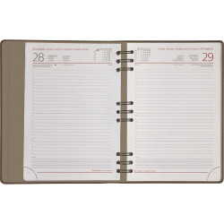 Castelli Ημερήσιο Ημερολόγιο Σπιράλ 2026 14.5x20.5cm 3Sector Dot Μπλε