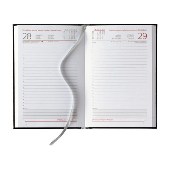 Castelli Ημερήσιο Ημερολόγιο 2026 11x16.5cm Soft Blur