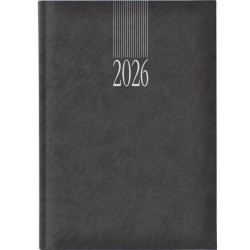 Castelli Ημερήσιο Ημερολόγιο 2026 17x24cm Sidney Classic Ανθρακί