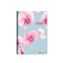 Castelli Ημερήσιο Ημερολόγιο 2026 9x13cm Orchid Flowers
