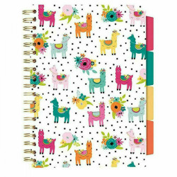Pukka Σπιράλ Τετράδιο Ριγέ Β5 100 Φύλλων 5 Θεμάτων Πολύχρωμο Colour Wash Lamma