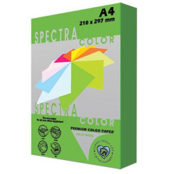 806230 -   Χαρτί εκτύπωσης Α4 160γρ 250φ Πράσινο Parrot