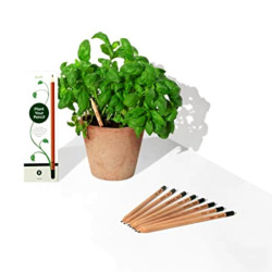 Θεοφύλακτος Sprout Μολύβι