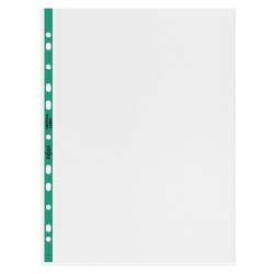 Rexel Πλαστική Ζελατίνα για Έγγραφα Τύπου "Π" A4 με Τρύπες και Ενίσχυση