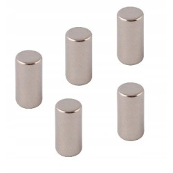 Μαγνήτες Νεοδυμίου Leviatan Super Strong 5 Τεμάχια