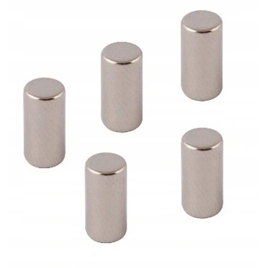 Μαγνήτες Νεοδυμίου Leviatan Super Strong 5 Τεμάχια